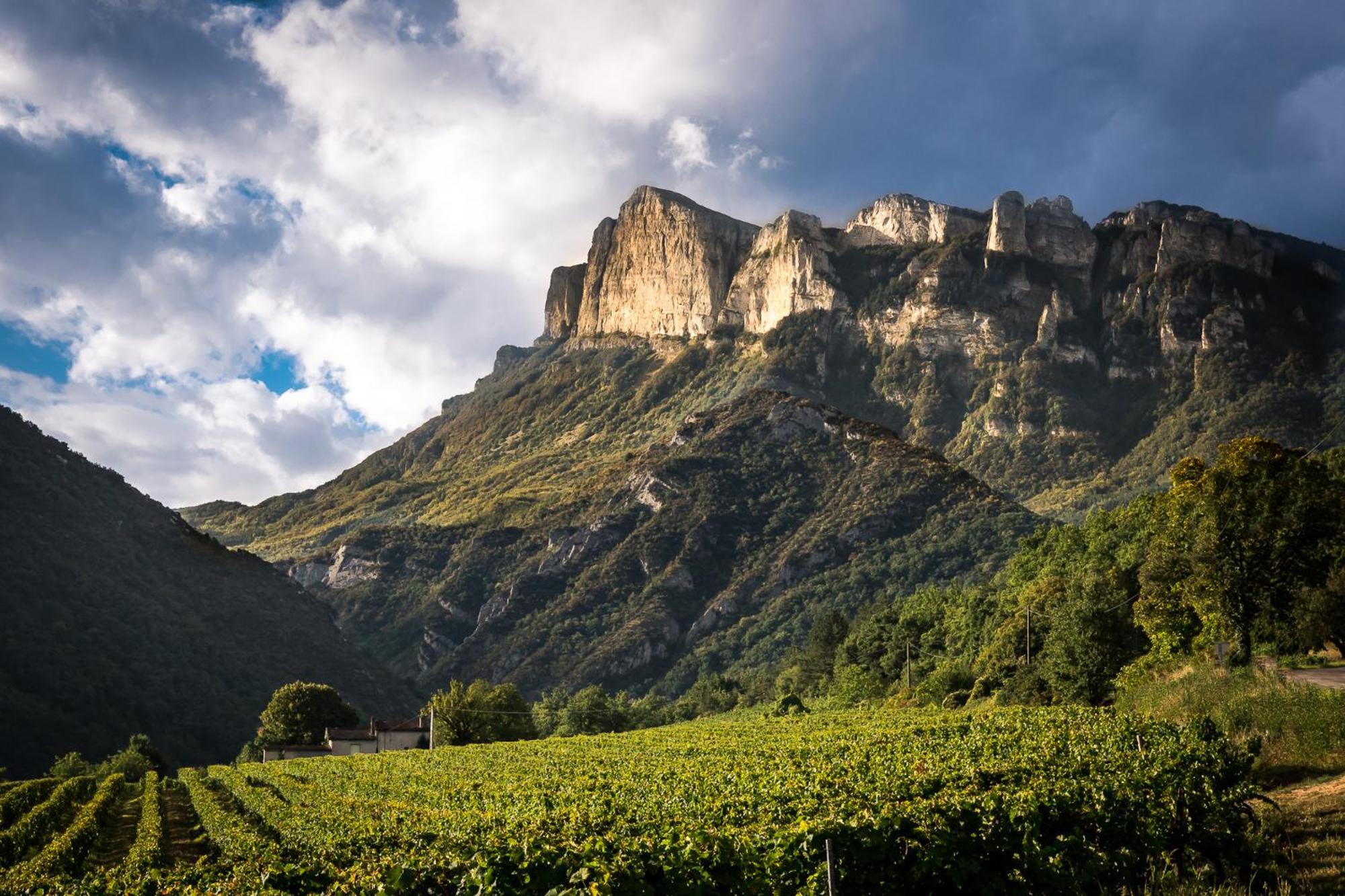 Bed and Breakfast Chez Nathalie Et Etienne Saillans  Esterno foto